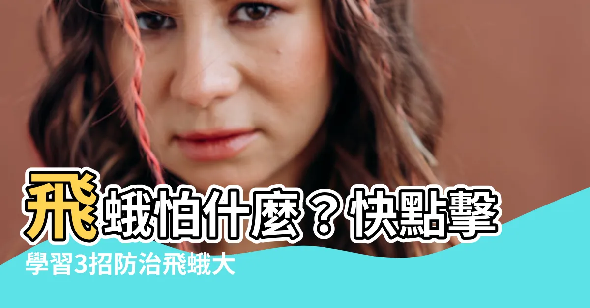 【飛蛾怕什麼】飛蛾怕什麼？快點擊學習3招防治飛蛾大法