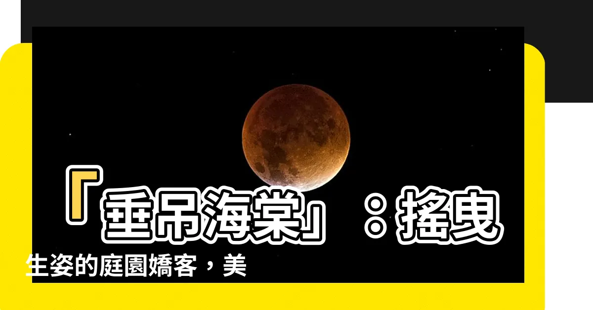 【垂吊海棠花】「垂吊海棠」：搖曳生姿的庭園嬌客，美不勝收！