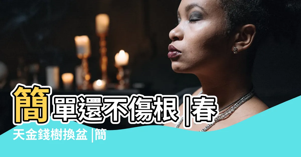 【金錢樹換盆】簡單還不傷根 |春天金錢樹換盆 |簡單還不傷根 |