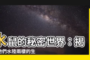 【水鼠】水鼠的秘密世界：揭開牠們水陸兩棲的生存之道