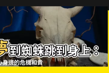 【夢到蜘蛛跳到身上】夢到蜘蛛跳到身上：小心身邊的危機和貴人！