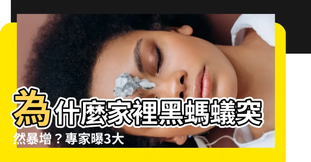 【黑螞蟻出現原因】為什麼家裡黑螞蟻突然暴增？專家曝3大原因＆消滅小秘訣