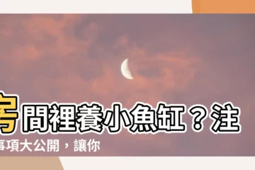 【房間養小魚缸】房間裡養小魚缸？注意事項大公開，讓你打造放鬆療癒的居室空間