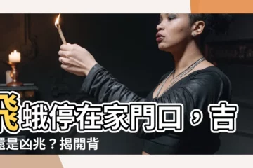 【飛蛾停在家門口】飛蛾停在家門口，吉兆還是凶兆？揭開背後的神秘寓意！