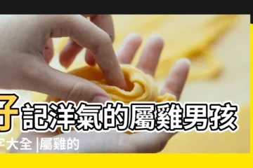 【屬雞六月初七男孩起名】好記洋氣的屬雞男孩名字大全 |屬雞的男孩名字大全集 |六月出生的屬雞男孩起名寓意聰明的名字 |