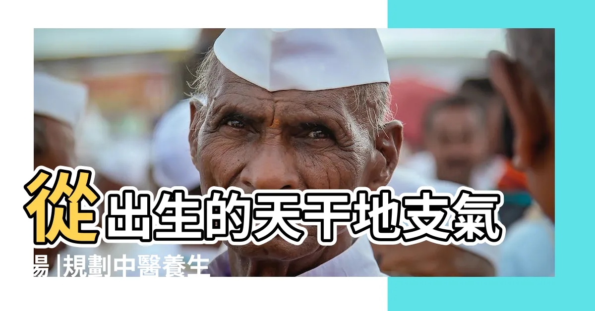 【五行比例】從出生的天干地支氣場 |規劃中醫養生策略 |對萬事萬物的取象比類 |