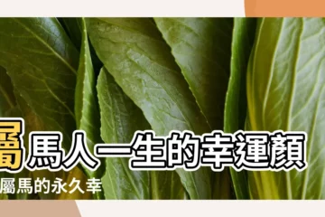 【屬馬今年的幸運顏色是什麼顏色是什麼意思】屬馬人一生的幸運顏色 |屬馬的永久幸運色是什麼顏色 |2023年生肖馬最吉利顏色 |