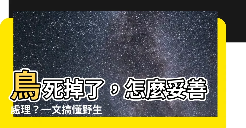 【鳥死掉怎麼處理】鳥死掉了，怎麼妥善處理？一文搞懂野生禽鳥屍體處理安全指南