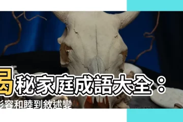 【家庭成語】揭秘家庭成語大全：從形容和睦到敍述變遷