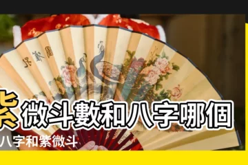 【紫薇與八字的區別】紫微斗數和八字哪個準 |八字和紫微斗數的區別有哪些 |紫微八字大不同 |
