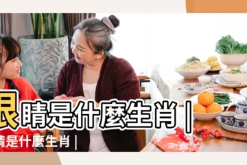 【眼睛是指什麼生肖】眼睛是什麼生肖 |眼睛是什麼生肖 |眼睛是什麼生肖 |