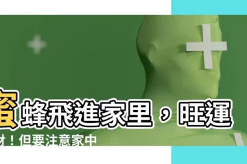 【蜜蜂飛進家裏風水】蜜蜂飛進家裏，旺運旺財！但要注意家中風水的隱藏秘密