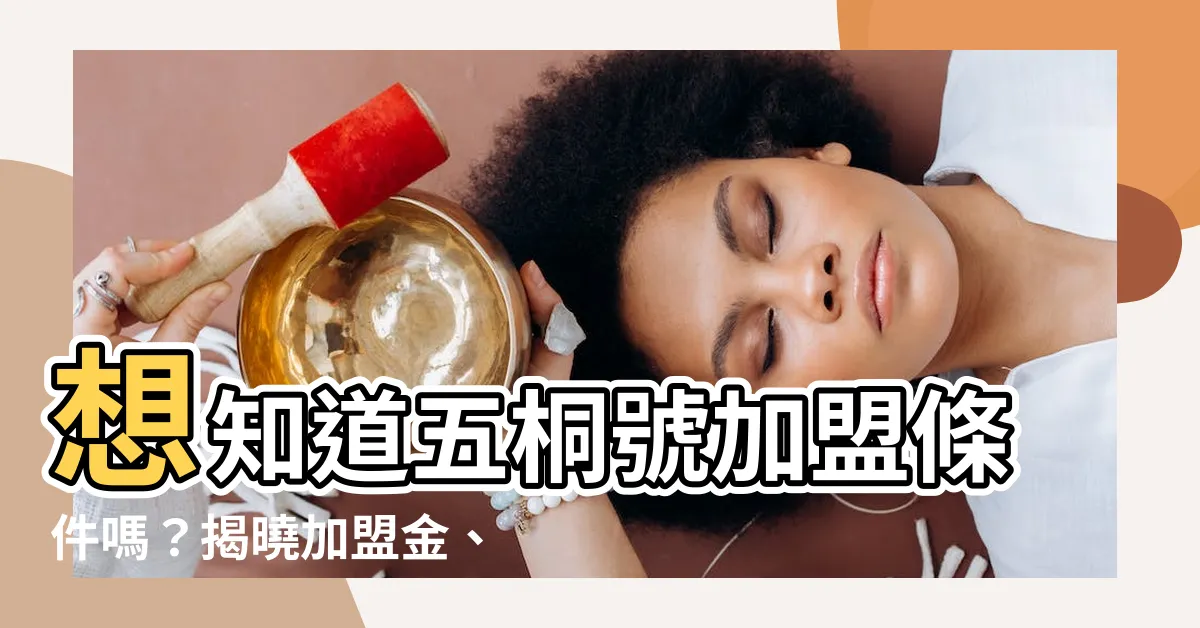 【五桐號加盟條件】想知道五桐號加盟條件嗎？揭曉加盟金、飲料店賣幾杯才回本！