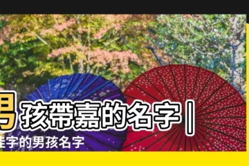 【求一個帶佳的男孩名字】男孩帶嘉的名字 |帶佳字的男孩名字 |男姓取名帶有佳字的與哪些字配合最好 |