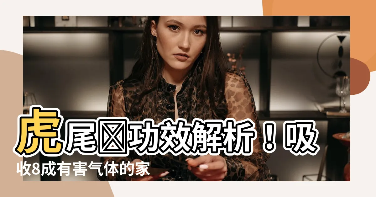 【虎尾蘭功效】虎尾蘭功效解析！吸收8成有害氣體的家庭守護神