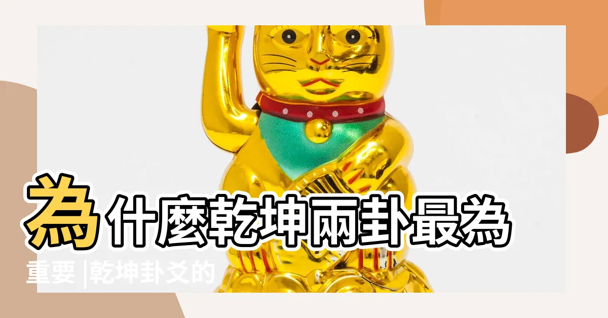 【乾坤卦象】為什麼乾坤兩卦最為重要 |乾坤卦爻的基本含義是什麼 |易經六十四卦中 |