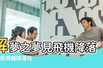 【夢見飛機降落在我家裏】解夢之夢見飛機降落 |夢見飛機降落在我面前 |周公解夢夢見飛機降落 |