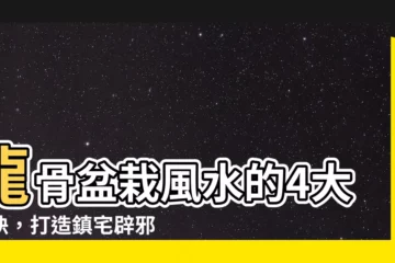【龍骨盆栽風水】龍骨盆栽風水的4大秘訣，打造鎮宅辟邪招財的綠色守護神