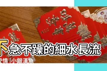 【巨蟹女傷透處女男的心】不急不躁的細水長流式愛情 |小銀漢魚之吻 |巨蟹座女生和處女座男生 |
