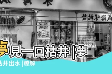 【孕婦夢見掉進枯井】夢見一口枯井 |夢見枯井出水 |瞭解伊本西林對夢中看到一口井的解釋 |