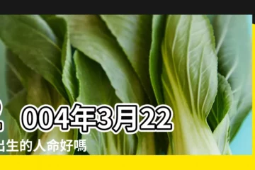 【2004年3月22農曆】2004年3月22日出生的人命好嗎 |2004年3月22日農曆多少號 |國曆2004年3月22日是農曆幾月幾日 |