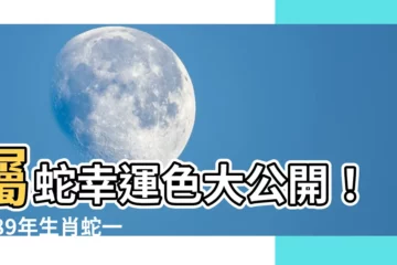 【1989屬蛇幸運色】屬蛇幸運色大公開！1989年生肖蛇一生的幸運色解碼