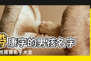 【出生孩子起名字康】帶康字的男孩名字 |康姓寶寶名字大全給寶寶起好名字 |帶康字的男孩名字 |