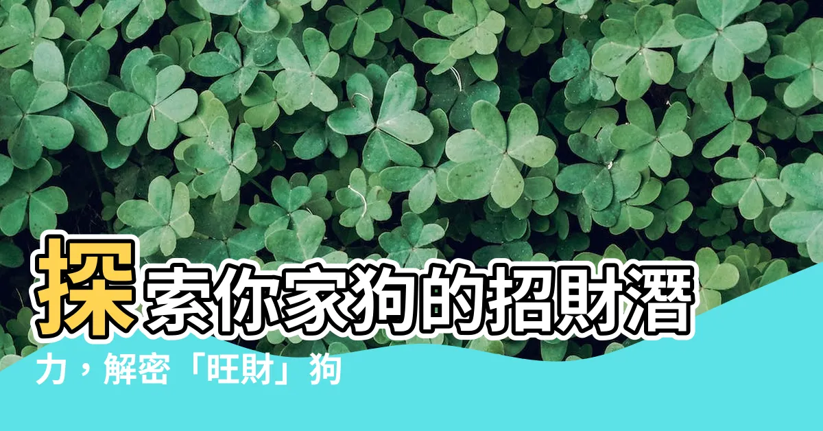 【旺財 狗】探索你家狗的招財潛力，解密「旺財」狗的六大特徵！