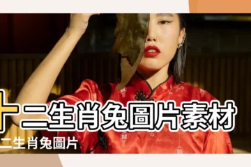 【12生肖兔圖片】十二生肖兔圖片素材 |十二生肖兔圖片素材 |生肖兔圖片 |