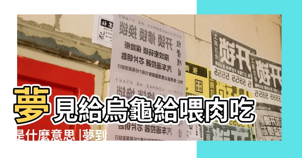 夢見給烏龜給喂肉吃是什麼意思 |夢到喂烏龜 |夢見在給烏龜餵食 |【夢見給烏龜喂肉吃】