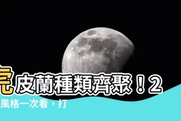 【虎皮蘭種類】虎皮蘭種類齊聚！20種風格一次看，打造綠意居家的好選擇