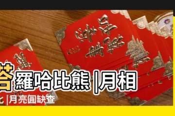 【2017.3.11月亮變化】塔羅哈比熊 |月相變化 |月亮圓缺查詢 |