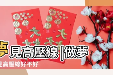 【周公解夢 高壓線】夢見高壓線 |做夢夢見高壓線好不好 |夢見高壓線 |