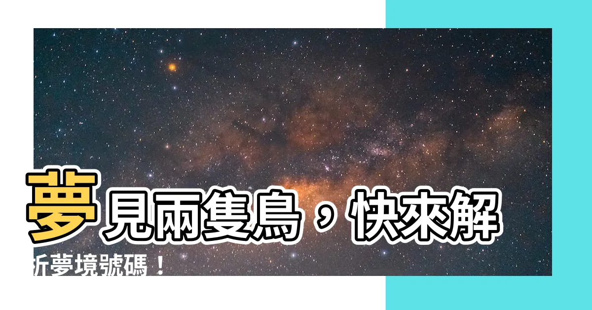 【夢到兩隻鳥號碼】夢見兩隻鳥，快來解析夢境號碼！