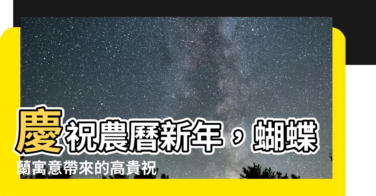 【蝴蝶蘭寓意】慶祝農曆新年，蝴蝶蘭寓意帶來的高貴祝福