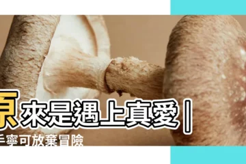 【12星座真愛的表現】原來是遇上真愛 |射手寧可放棄冒險 |12星座真的愛你才有的表現 |