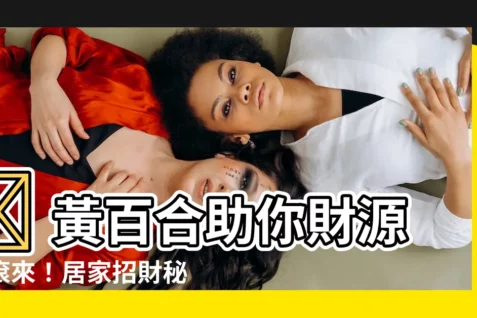 【黃百合招財】🌟 黃百合助你財源滾滾來!居家招財秘笈大公開! 🌟