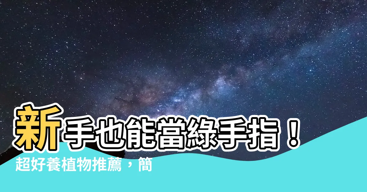 【什麼植物最好養】新手也能當綠手指！超好養植物推薦，簡單3要點輕鬆挑選室內綠意
