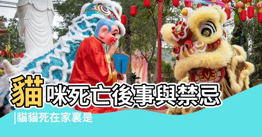 貓咪死亡後事與禁忌 |貓貓死在家裏是不是不吉利那怎麼辦呢 |貓咪死亡後事與禁忌 |【貓咪死掉禁忌】