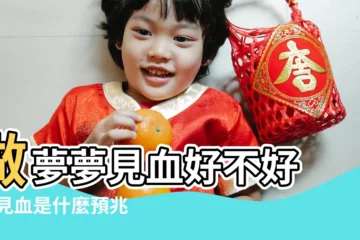 【周公解夢 夢見血 什麼意思是什麼】做夢夢見血好不好 |夢見血是什麼預兆 |