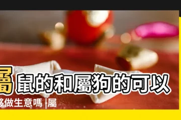 【屬鼠的適應和什麼屬相合夥做生意】屬鼠的和屬狗的可以合夥做生意嗎 |屬鼠與屬豬合作伙伴 |屬鼠的人適合做什麼生意 |