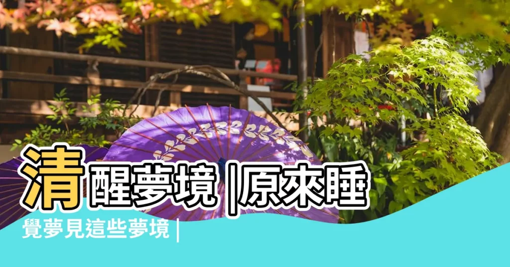 清醒夢境 |原來睡覺夢見這些夢境 |能不能控制自己的夢境 |【做夢感覺有人控制自己】