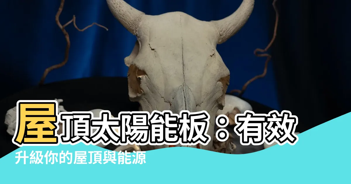 【屋頂太陽能板】屋頂太陽能板：有效升級你的屋頂與能源效益