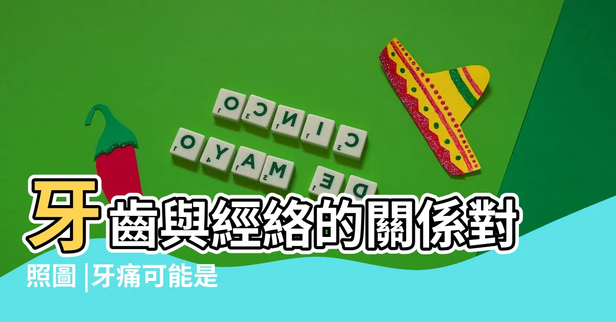【牙齒經絡圖】牙齒與經絡的關係對照圖 |牙痛可能是內臟警訊 |牙齒和經絡及其對全身之影響 |