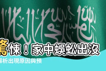 【為什麼有蜈蚣】驚悚！家中蜈蚣出沒！解析出現原因與預防對策