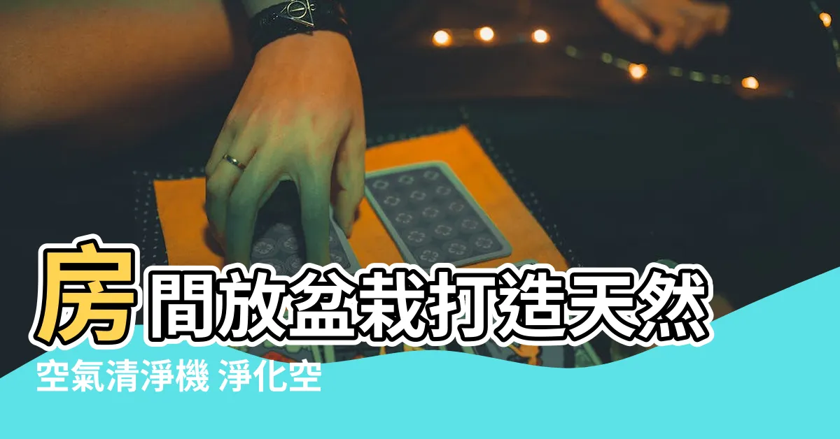 【房間 盆栽】房間放盆栽打造天然空氣清淨機 淨化空氣一夜好眠