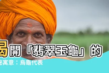 【烏龜代表】揭開「翡翠玉龜」的神秘寓意：烏龜代表什麼？