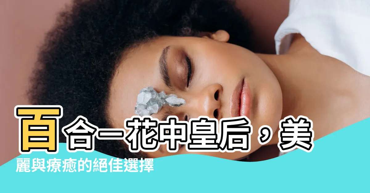 【百合】百合－花中皇后，美麗與療癒的絕佳選擇！