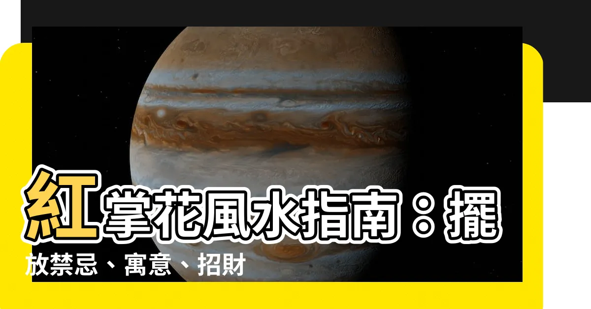 【紅掌花風水】紅掌花風水指南：擺放禁忌、寓意、招財方位全解析