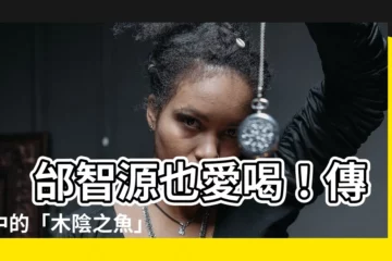 【木因之魚】 邰智源也愛喝！傳説中的「木陰之魚」清酒美味秘辛大公開！